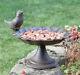 Antique Brown Cast Iron Cottage Garden Bird Bath Feeder Outdoor Feeding Birdbath